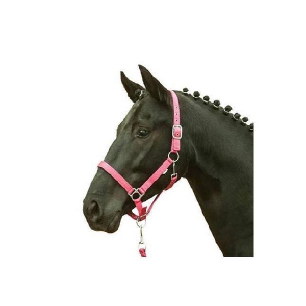 CABRASTELL HH NYLON FOAL