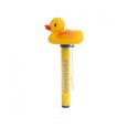 TERM&Ograve;METRE PER PISCINA PQS.